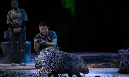 Conservation & Education Tour