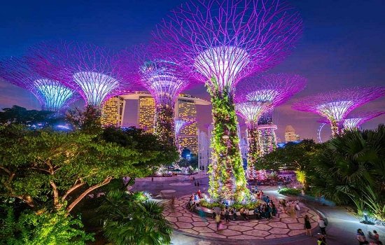 Singapore Incentive Tour Package